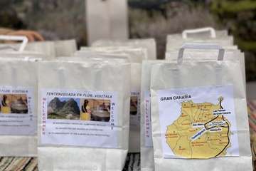 Los turistas y la lluvia, protagonistas en Tenteniguada/TA.